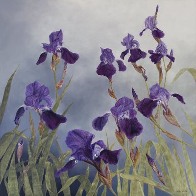 Iris hybrida, 2015 (acrilico su legno gesso) da Odile Kidd