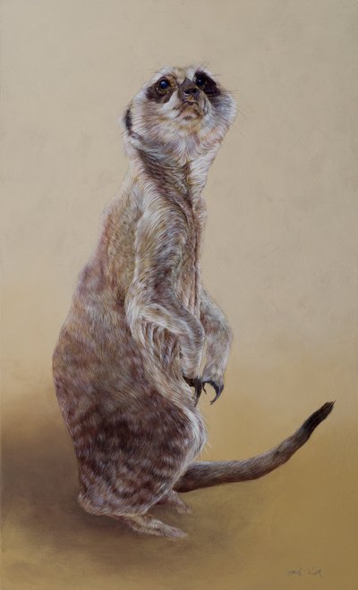 Meerkat 2, 2010 (acrilico su legno) da Odile Kidd