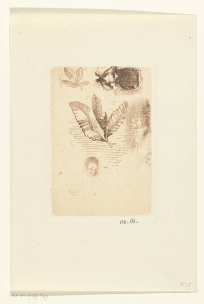 Foglio con schizzi da Odilon Redon