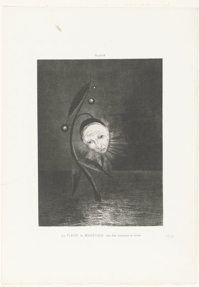 Il fiore della palude, una testa umana e triste da Odilon Redon
