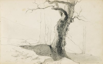 Disegno da un album intitolato "Il Paese Basco", 1862-63 da Odilon Redon