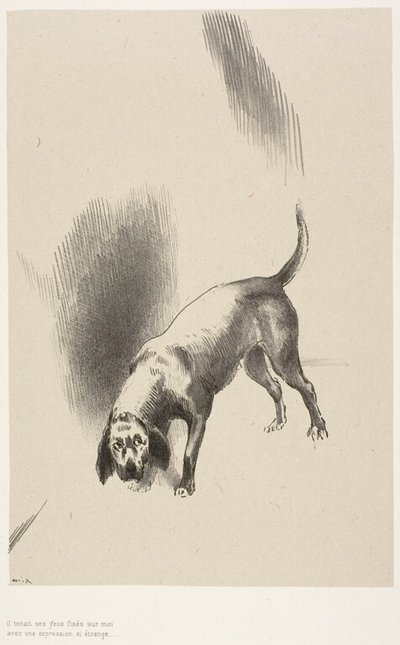 Lui [il cane del narratore] teneva i suoi occhi fissi su di me con uno sguardo così strano, tavola 3 di 6 da Odilon Redon