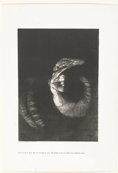 È un teschio con una corona di rose (dettaglio) da Odilon Redon