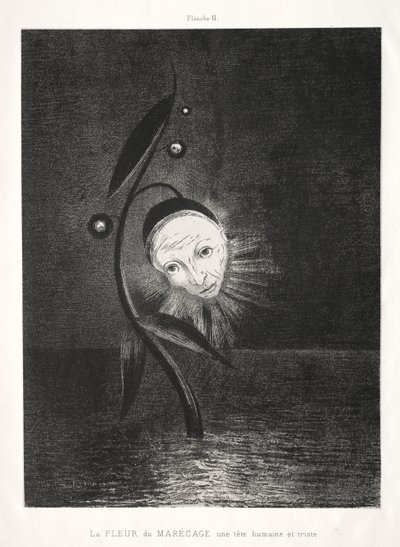 Omaggio a Goya: Il fiore della palude, una triste testa umana, 1885 da Odilon Redon