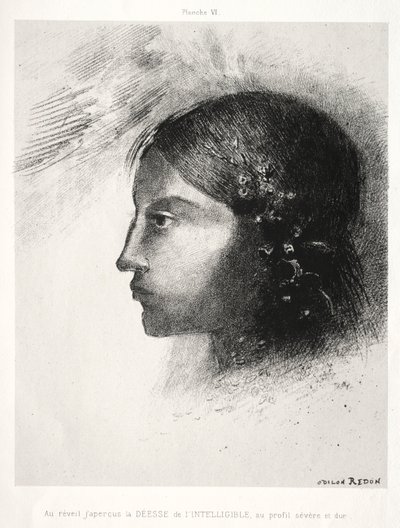 Omaggio a Goya: Al risveglio vidi la dea dell