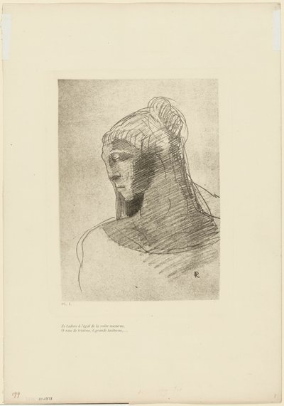 Ti adoro come adoro la volta del cielo notturno, o vaso di tristezza, o alta donna silenziosa, tavola 2 di 9 da Odilon Redon