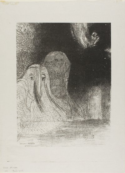 A volte ho visto nel cielo ciò che sembrava forme di spiriti, tavola 21 di 24 da Odilon Redon