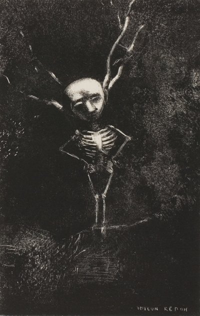 Nel labirinto dei rami, apparve la figura pallida, tavola 2 di 7 da Odilon Redon