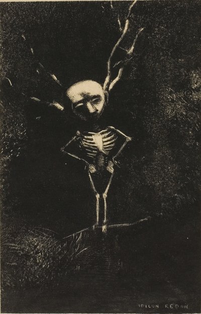 Nel labirinto dei rami, apparve la figura pallida, tavola 2 di 7 da Odilon Redon