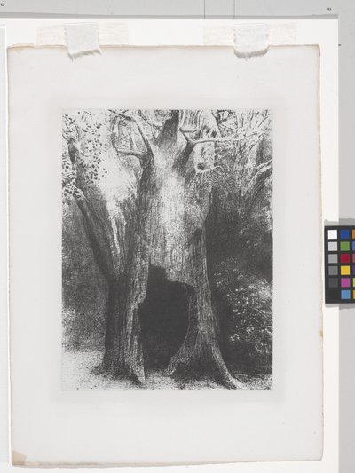 Mi sono immerso nella solitudine da Odilon Redon