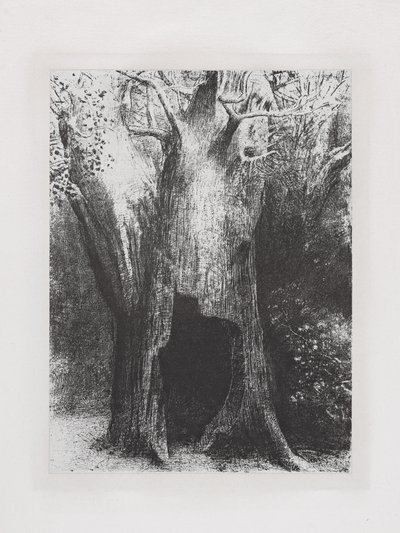 Mi sono immerso nella solitudine da Odilon Redon