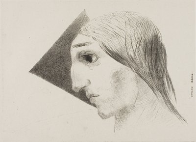 Follia, tavola sei da A Edgar Poe da Odilon Redon