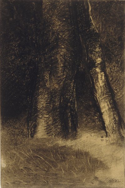 Schizzo di alberi da Odilon Redon