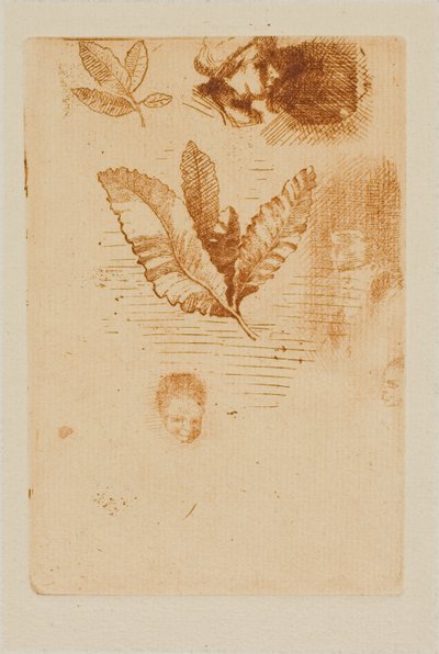 Schizzi da Odilon Redon