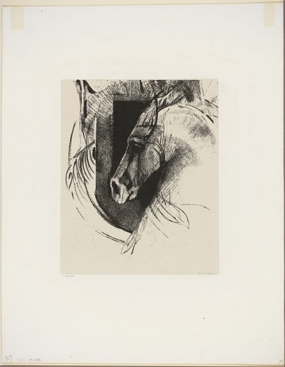 Il cavallo da battaglia da Odilon Redon