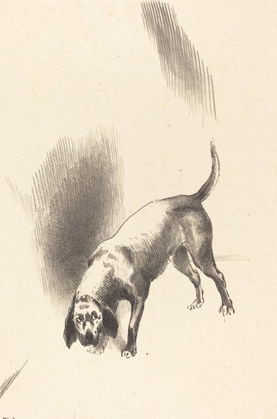 Il cane da Odilon Redon