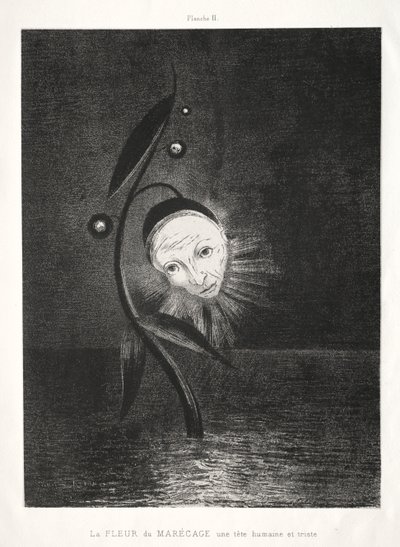 Il fiore della palude, una triste testa umana da Odilon Redon