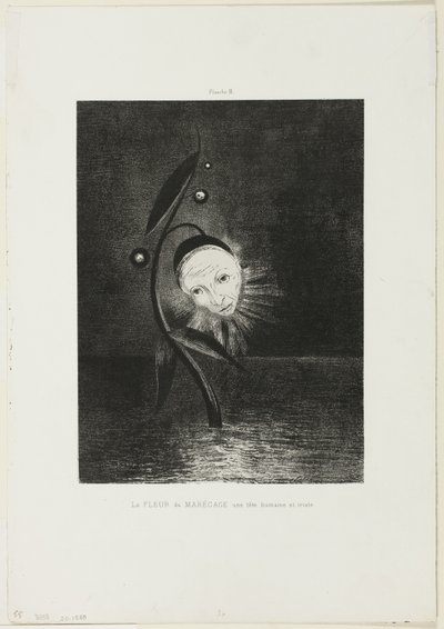 Il fiore della palude, una triste testa umana, tavola 2 di 6 da Odilon Redon