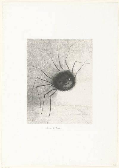 Il Ragno da Odilon Redon