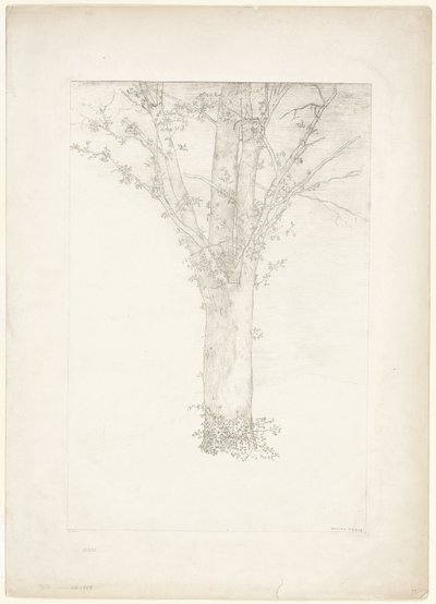 Albero da Odilon Redon