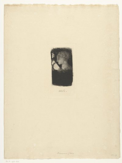 Falsa gloria da Odilon Redon