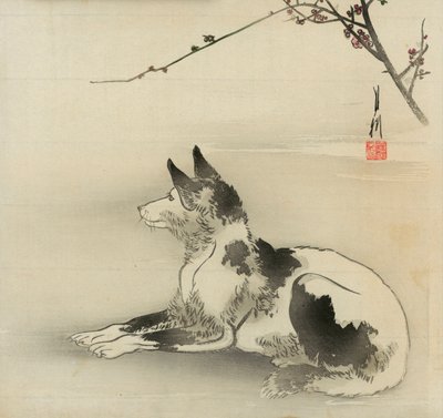 Cane bianco e nero da Ogata Gekko