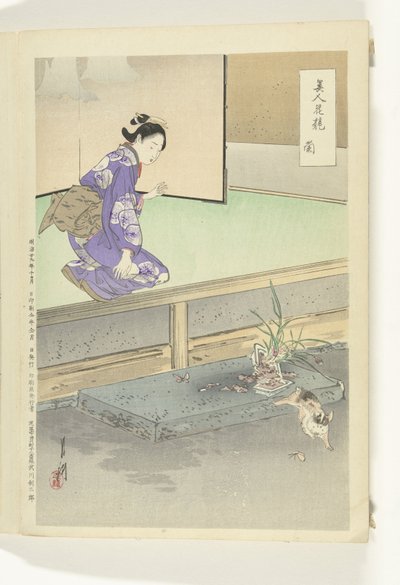 Orchidea da Ogata Gekko