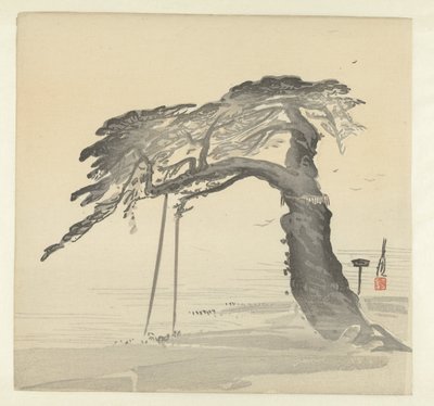 Vecchio pino da Ogata Gekko