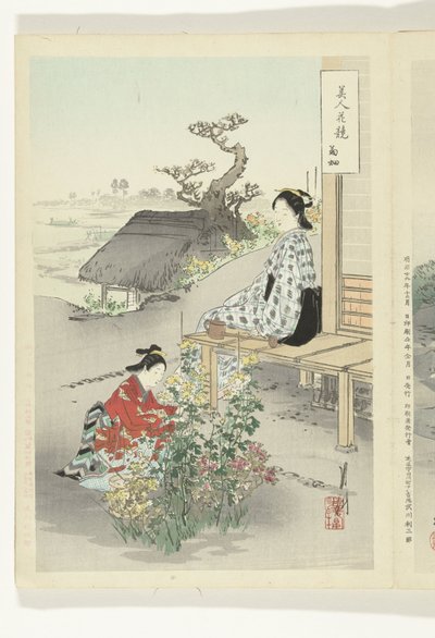 Cura dei crisantemi da Ogata Gekko