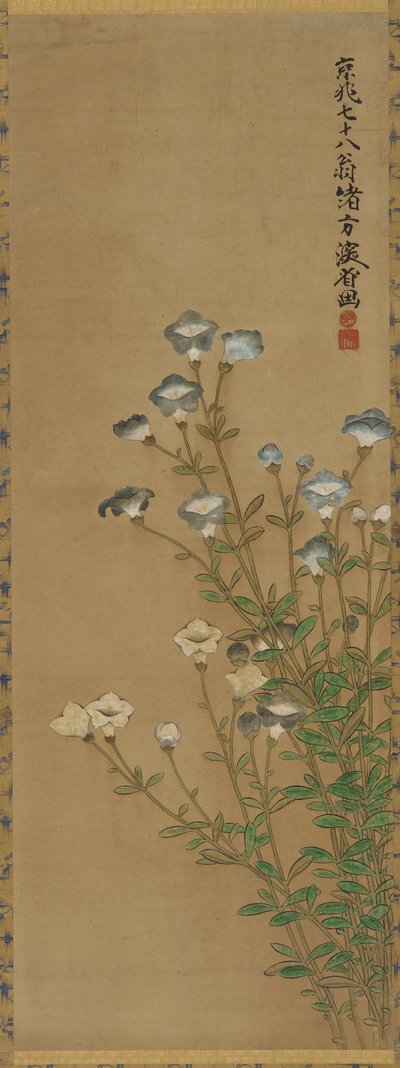 Fiori blu e bianchi su steli sottili da Ogata Kenzan