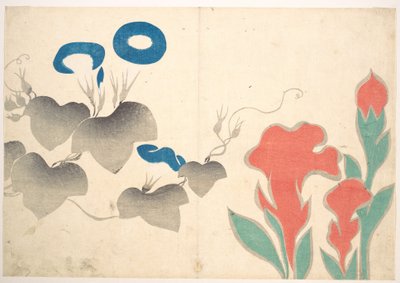 Disegno di convolvoli e altri fiori da Ogata Korin