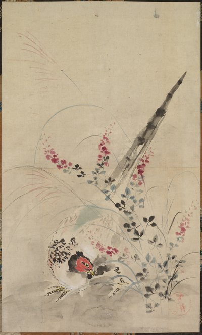 Fagiano ed erbe da Ogata Korin