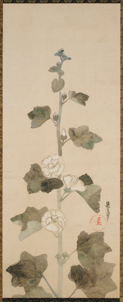 Altea bianca, periodo Edo, fine XVII-inizio XVIII secolo da Ogata Korin