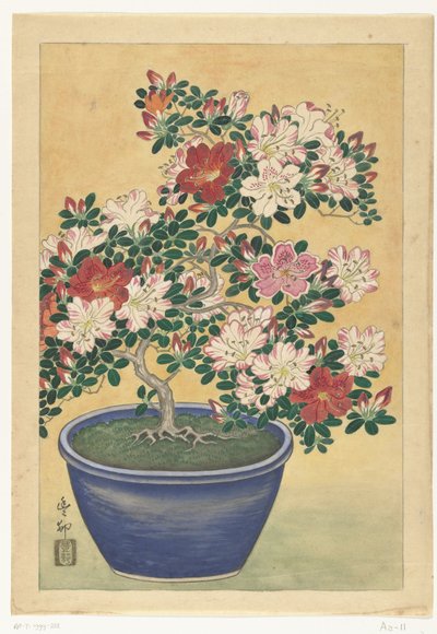 Azalea in fiore in vaso blu da Ohara Koson (signed by artist)