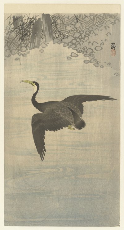Cormorano in volo da Ohara Koson