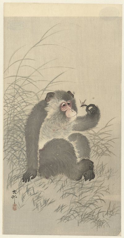 Scimmia con insetto da Ohara Koson