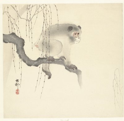 Scimmia su un ramo da Ohara Koson