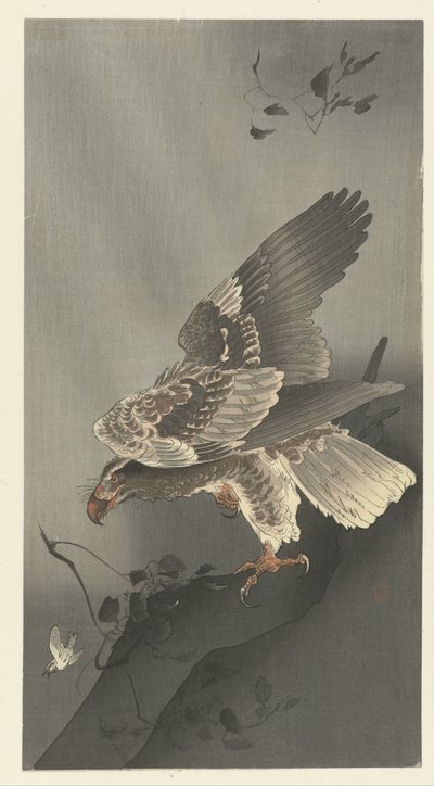 Aquila che osserva la preda da Ohara Koson