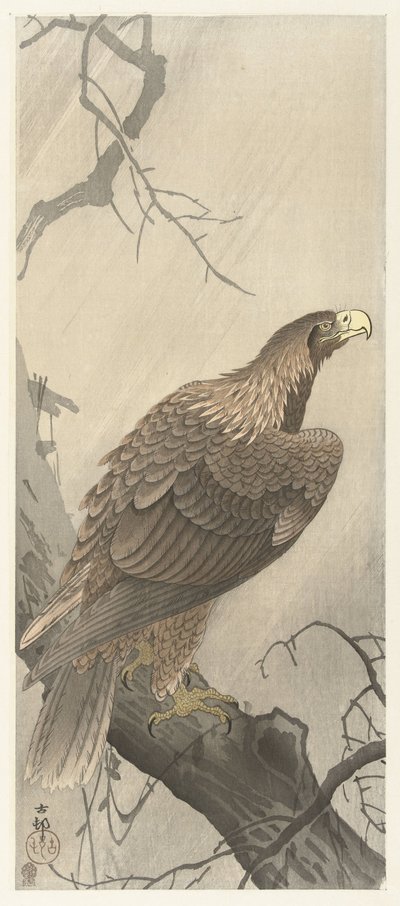 Aquila su un ramo da Ohara Koson