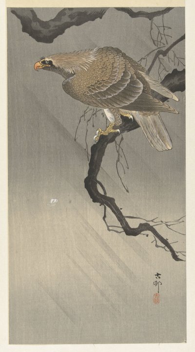 Aquila su ramo da Ohara Koson