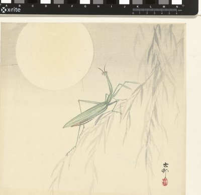 Mantide religiosa da Ohara Koson