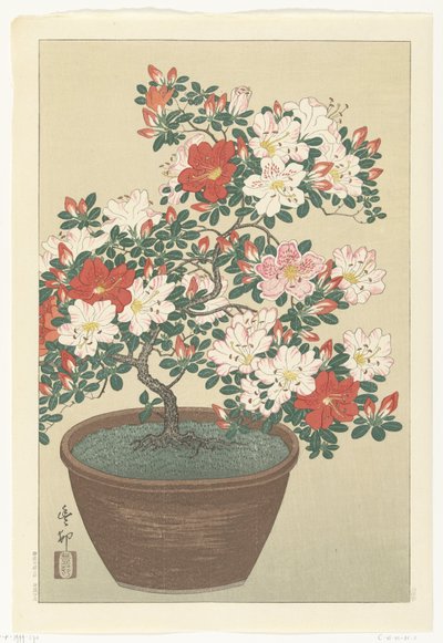 Azalea in fiore in vaso marrone da Ohara Koson