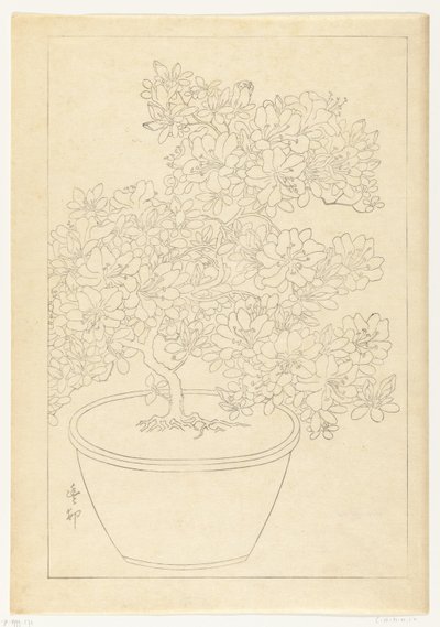 Azalea in fiore in vaso da Ohara Koson