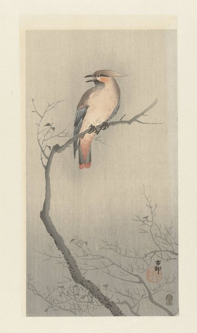 Beccofrusone boemo su un ramo da Ohara Koson