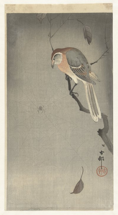 Averla capirossa e ragno da Ohara Koson