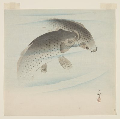 Carpa da Ohara Koson
