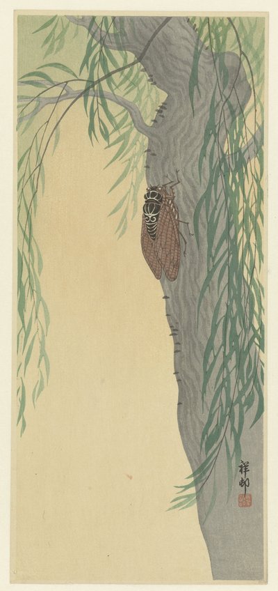 Cicala su un albero da Ohara Koson