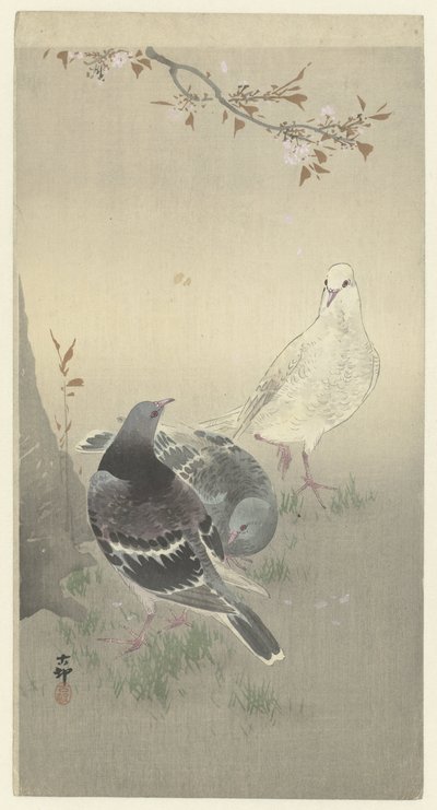 Tre colombe domestiche da Ohara Koson
