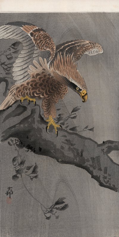 Aquila con ali spiegate su tronco d