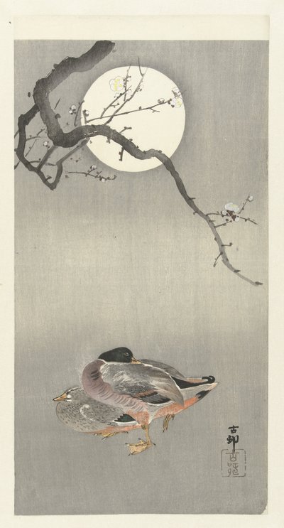 Anatre alla luna piena da Ohara Koson
